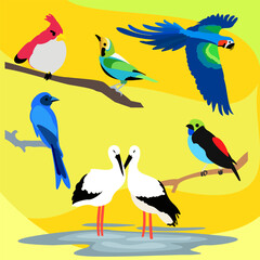 Naklejka premium bird illustration vector