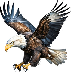 Obraz premium Watercolor painting of Bald Eagle. 