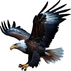 Obraz premium Watercolor painting of Bald Eagle. 