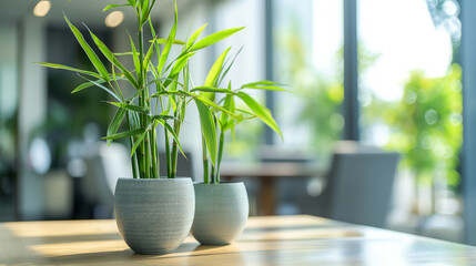 modern eco friendly office interior decorated with plants, environment friendly office interior...