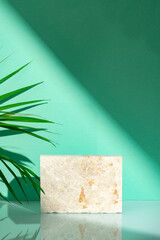 Tropical leaves palm tree on a mint background