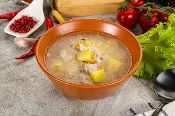 Homemade chicken soup with vegetables
