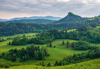 Obraz premium Spring green landscape with lush meadows, hills and forest. Beautiful Polish landscape. View on Pieniny and Gorce mountain range in Beskids in Poland.