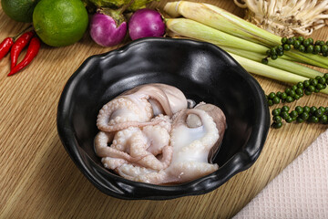 Delicous fresh raw uncooked octopus