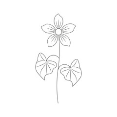 Flower One Line Drawing