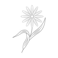 Flower One Line Drawing