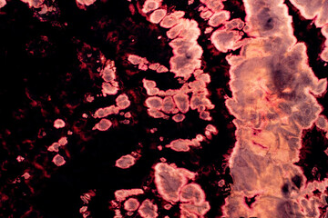 Tie dye bleach, Bleached cloth texture background.