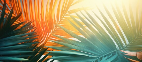 Tropical Palm Leaf Background with Vibrant Sunlit Tones and Space for Text
