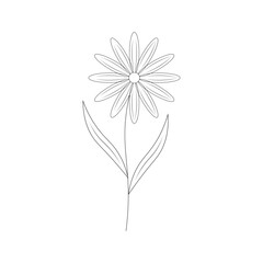 Flower One Line Drawing