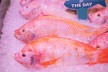 Frozen red fish in the market is sold in supermarkets.
