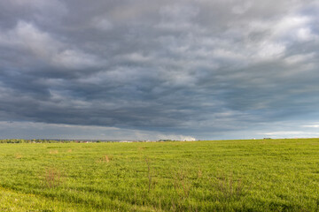 Fototapeta premium Sunny landscape against a dramatic sky, countryside in early spring, young green grass in a field