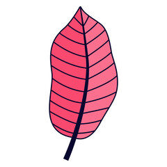 Tropical Leaf Clipart