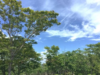 野山の景色
