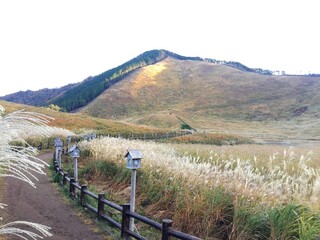 Fototapeta na wymiar 曽爾高原のススキの景色