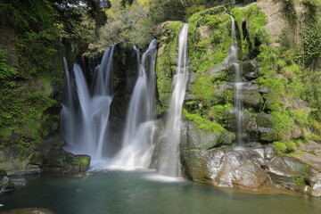 Fototapeta na wymiar 新緑と清流の滝