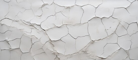 White Primer Paint Applied on Cracked Cement Surface
