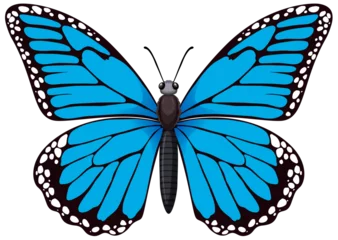 Foto op Plexiglas A detailed vector graphic of a blue butterfly © GraphicsRF