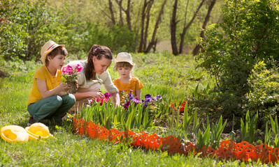 mother and and two children daughter and son plant flowers in the garden near the houme on spring day. Kids help mom work in the garden. slow life. enjoy the little things. 