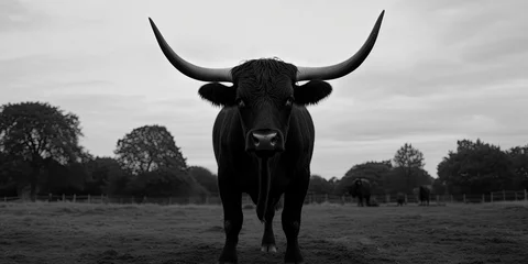 Afwasbaar fotobehang bull standing ready symbol of strength © jambulart