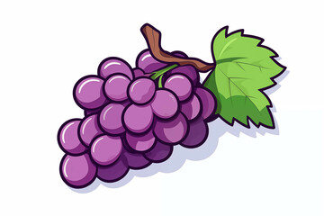 Drawing of purple grapes on a white background.