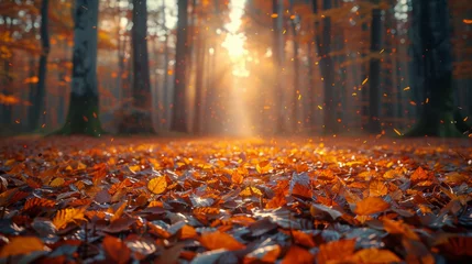 Foto auf Alu-Dibond fallen leaves in autumn forest at sunny weather. © Matthew