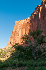 Fototapeta premium Plateaus and Orchards at Capitol Reef National Park in Utah