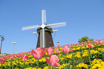 チューリップ畑の鶴見緑地