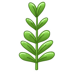 green plant isolated on white background