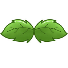 green leaf isolated
