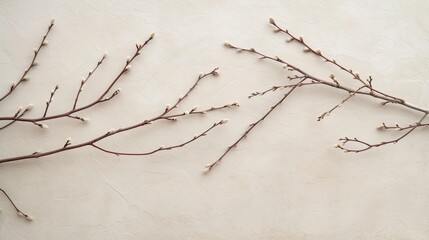 A minimalist design featuring thin, wispy branches of willow catkins laid out on a smooth ivory surface. - obrazy, fototapety, plakaty
