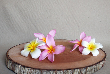 Fototapeta na wymiar Asian tropical flowers on cut wood trunk