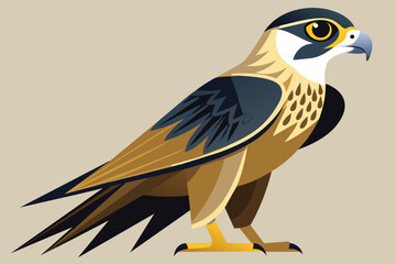 Falcon Illustration Design