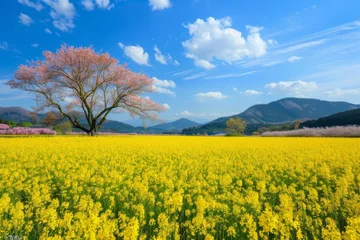Fotobehang 菜の花が咲く日本の風景（春・春の風景・日本の風景） © Maki_Japan