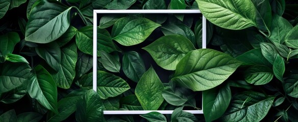 Lush Green Foliage Embracing a Minimal White Frame: A Nature-Inspired Background with Space for Text and Design Elements