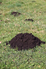 A pile of dirt is on the grass