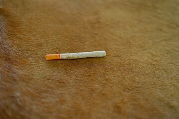 Cigarette placed on the floor. An old filtered cigarette was left on a table covered with brown wool. Smoking cigarettes with filter. Roll tobacco in paper with filter tube, No smoking concept.
