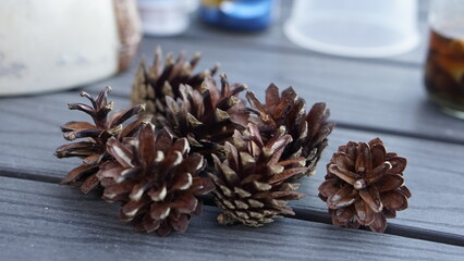 pine cones