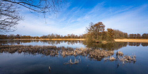 Winterspaziergang an den Teichen bei Holscha in der Oberlausitzer Heide- und Teichlandschaft 10