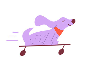 The Dog is Skating Isolated. Vector Flat illustration Dog on Skateboard. 