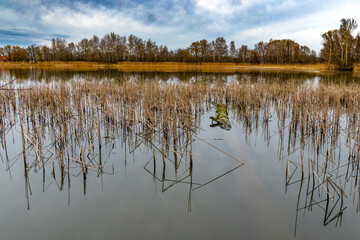 Winterspaziergang an den Teichen bei Holscha in der Oberlausitzer Heide- und Teichlandschaft 5