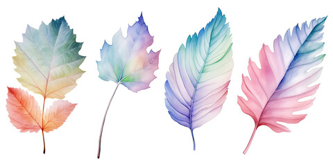 Fototapeta na wymiar Watercolor colorful spring floral Pastel Leaves and flowers elements isolated on background, bouquets greeting or wedding card decoration.