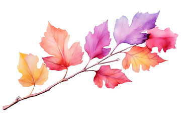 Watercolor colorful spring floral Pastel Leaves and flowers elements isolated on background, bouquets greeting or wedding card decoration.