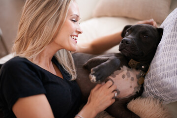 Happy, scratch or woman and dog on a sofa with love, care and bonding at home together. Pets,...
