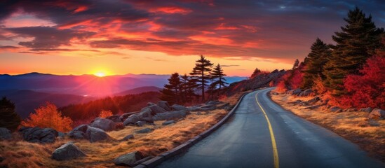 Vibrant Urban Roadway with a Bold Yellow Line Marking the Center of the Street