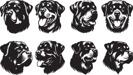 Rottweiler Head Silhouette Isolated Illustration In Black Color On White Background