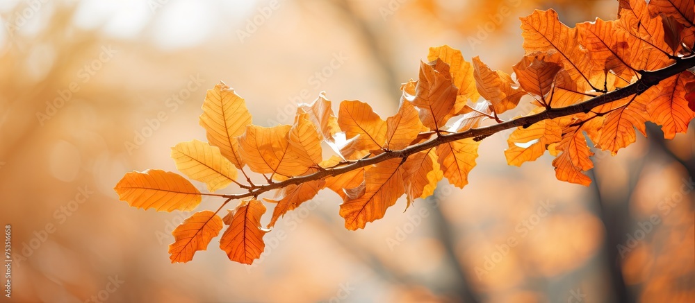 Poster sunlit green branch laden with vibrant leaves in a refreshing natural setting