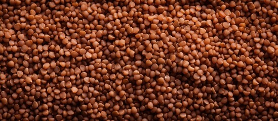 Rustic Organic Lentils Pile, Vegan Protein Source for Healthy Cooking Recipes