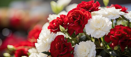 Vibrant Red and White Blooms in a Springtime Floral Arrangement