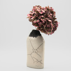 Bouquet hortensia séchées dans un vase