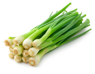 green onion bunch isolated